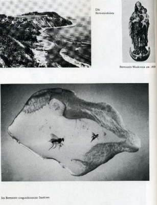 Amber mining 2